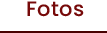 da clic para ir a fotos